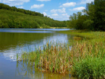 Die Kinzigtalsperre, ein idyllischer Stausee von Manfred Koch