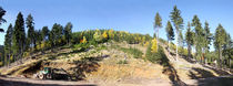 Panoramablick zu einer Bergkuppe im Mittelgebirge von Manfred Koch