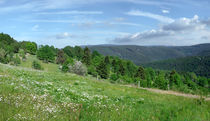 Frühling im Mittelgebirge; Spring in the Mountain von Manfred Koch