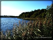 Lake by Geir Ivar Ødegaard