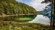 Eibsee-Westufer von Erhard Hess