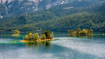 Eibsee 427 by Erhard Hess