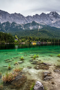 Eibsee-Nordufer II von Erhard Hess