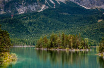 Sasseninsel vor Eibsee-Bucht II von Erhard Hess