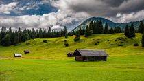 Buckel-Alm von Erhard Hess