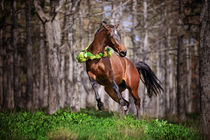 Horse Playing by Tamara Didenko