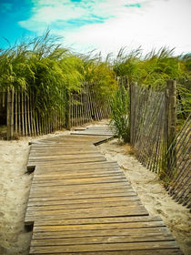 A Walk to the Beach von Colleen Kammerer