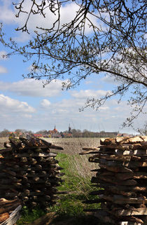 Frühling in Rysum - spring von ropo13