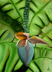 Banana flower von Wendy Mitchell