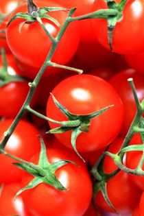 Tomaten by Petra Koob