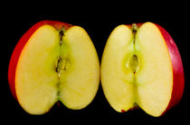 sliced apple by digidreamgrafix