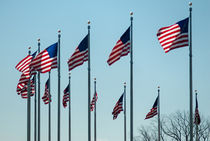 american flags by digidreamgrafix