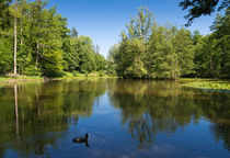 Schlüsselsee Schaichtal Naturpark Schönbuch by Matthias Hauser