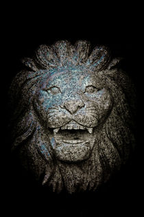 Carved Stone Lion's Head von loriental-photography