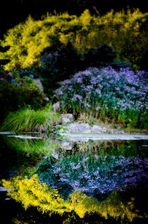 Colorful Reflection von loriental-photography