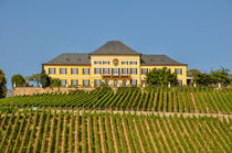 Schloss Johannisberg 02 von Erhard Hess