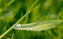 Regenwetter von Barbara  Keichel