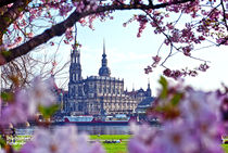 Dresden Panorama Frühling/ Sommer von drachenkind