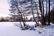 Winter Impression von Keld Bach