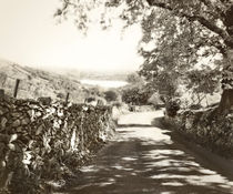 Country Road by Linde Townsend