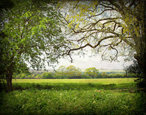 Rural Norfolk. von rosanna zavanaiu