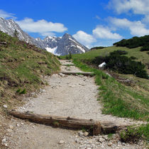 Alpen von jaybe