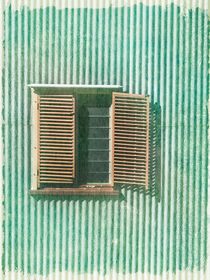 Vintage Shutters von Linde Townsend