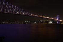 Bosphorus Bridge von Evren Kalinbacak