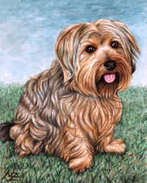 Jorkshire Terrier von Nicole Zeug