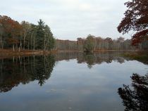 lake in autumn von Wolfgang Schweizer