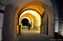 Festung Ehrenbreitstein, Kultur, Bauwerk von shark24