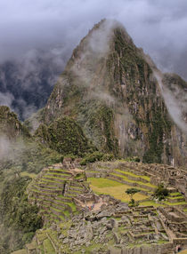 Machu Picchu IV von Steffen Klemz
