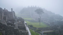 Machu Picchu II von Steffen Klemz
