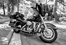 Mono Harley von Rob Hawkins