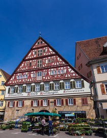 Alfred-Kielmeyer-Haus, Esslingen von safaribears