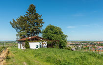 Bienenhaus am Halsberg von Erhard Hess