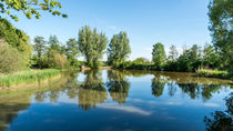 Weiher by Erhard Hess