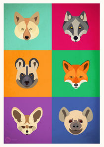 Canidae Attitudes by Hey Frank!