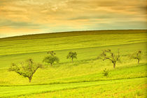 Wunderschöne Landschaft im Frühling  von Gina Koch