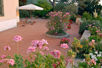 Blumenterrasse - Sardinien by captainsilva