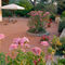 Blumenterrasse-villa-malvarosa-sardinien