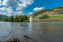 Mäuseturm & Ehrenfels von Erhard Hess