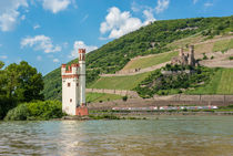 Mäuseturm & Ehrenfels 3 von Erhard Hess