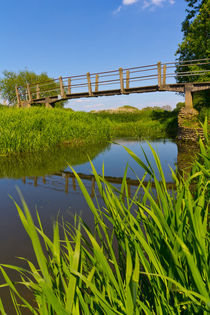 The Bridge von David Pyatt