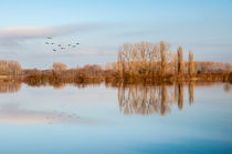 Still ruht der See by Erhard Hess