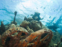 Aramaroa Wreck, Egg Island, Eleuthera, Bahamas by Shane Pinder