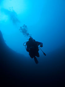 Diver descending into Blue Hole, Nassau, Bahamas by Shane Pinder