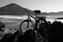 Bicycle At The Beech.  von Aidan Moran