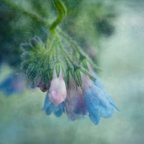 Chiming Bells Part III von Priska  Wettstein