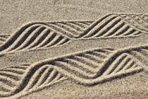Strukturen im Sand (03) von Karina Baumgart